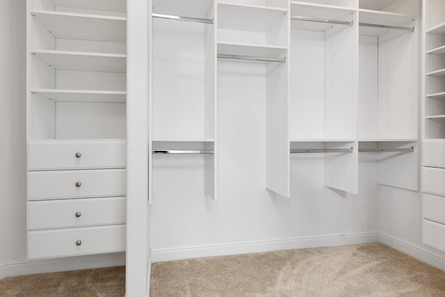 walk in closet with light colored carpet