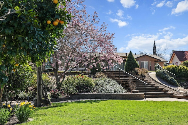 view of yard with stairway