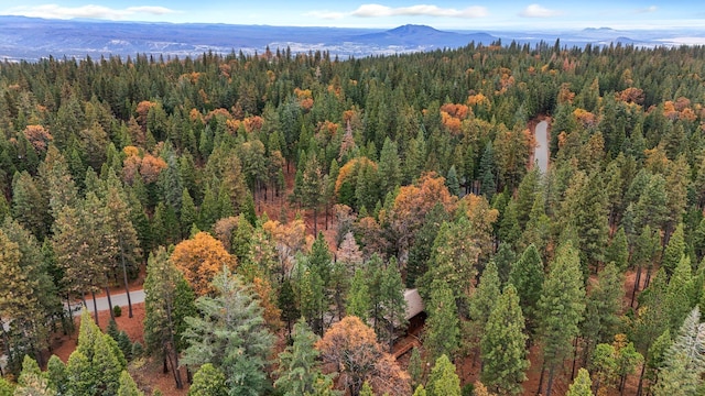 aerial view featuring a mountain view