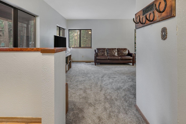 living room with carpet flooring and a wealth of natural light