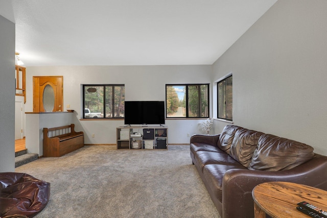 living room featuring carpet