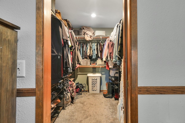 walk in closet featuring carpet floors