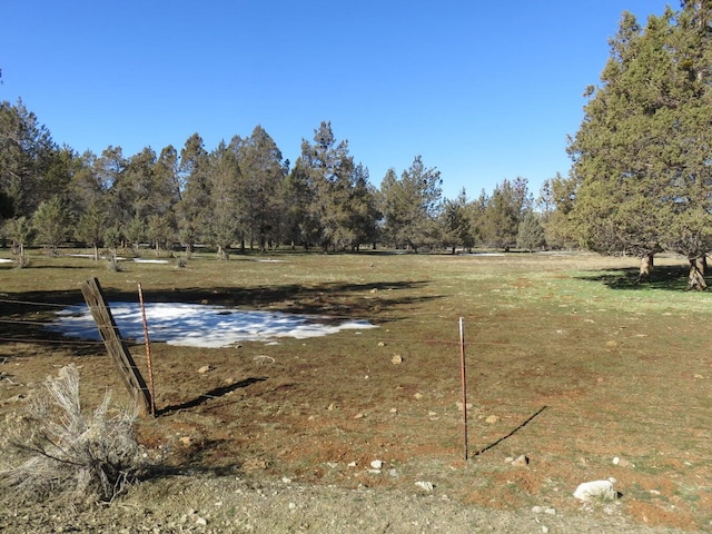 view of yard featuring a rural view