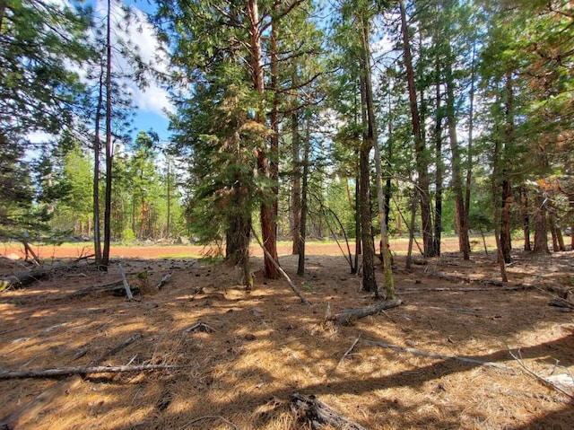 Listing photo 3 for 0 Sundown Rd, Alturas CA 96101