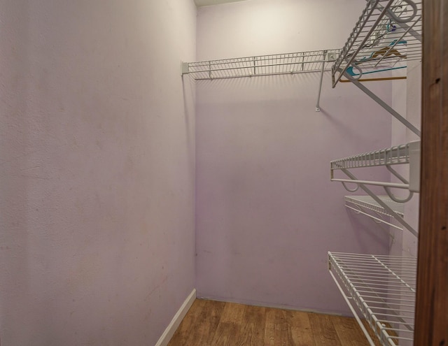 walk in closet with wood-type flooring