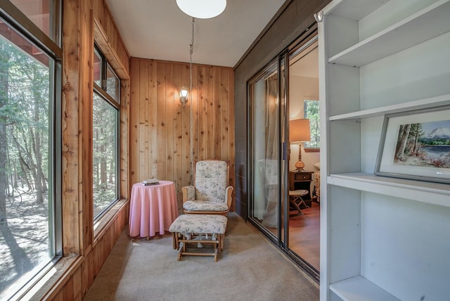 unfurnished room featuring carpet flooring, plenty of natural light, and wooden walls