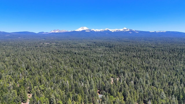 view of mountain feature