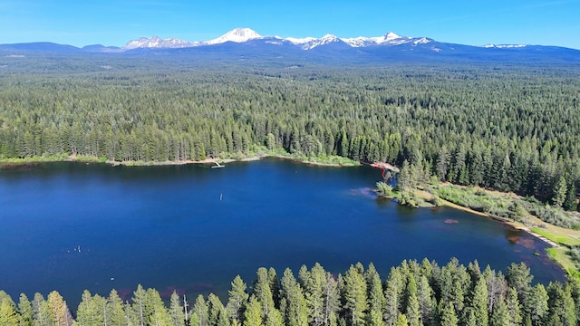 drone / aerial view with a water and mountain view