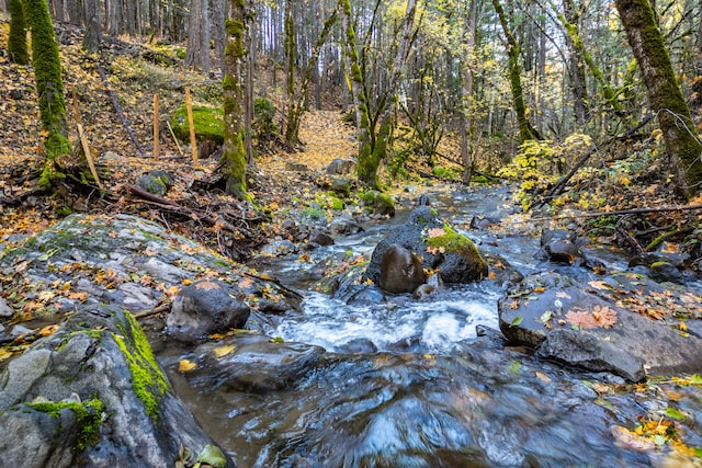 view of nature