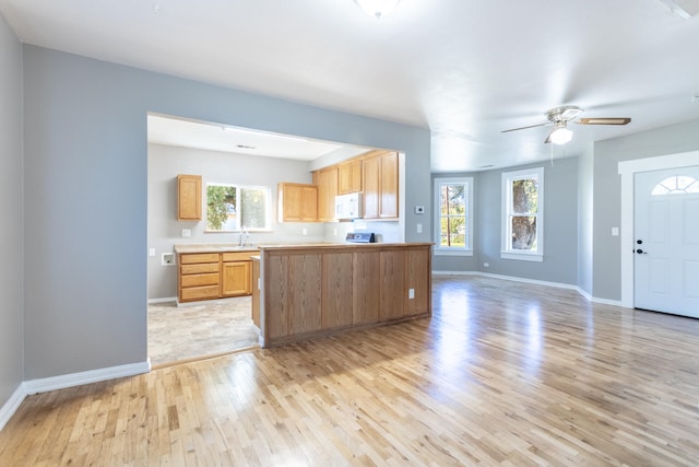 kitchen featuring ceiling fan, light hardwood / wood-style floors, and a healthy amount of sunlight