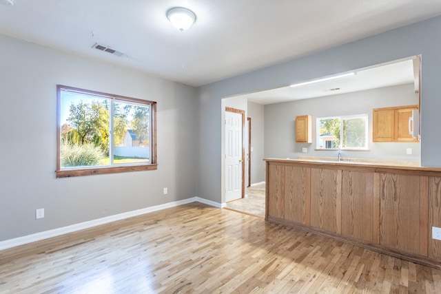 kitchen featuring light hardwood / wood-style flooring, a wealth of natural light, and sink