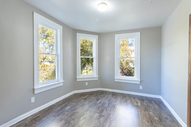 spare room with a wealth of natural light and dark hardwood / wood-style flooring