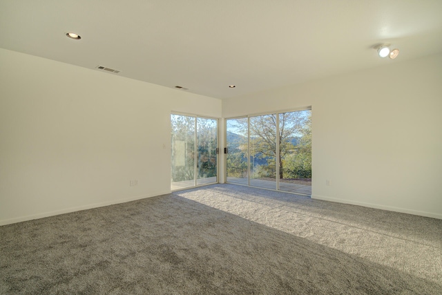 spare room with carpet floors