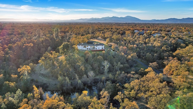 birds eye view of property featuring a mountain view