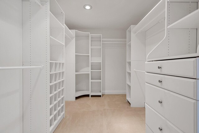 spacious closet featuring light carpet