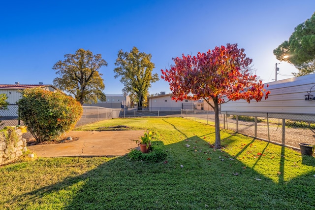 view of yard with a patio area