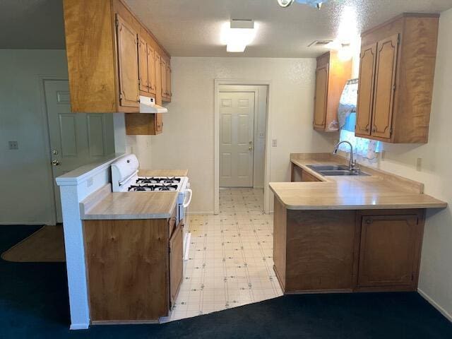 kitchen featuring sink, kitchen peninsula, and gas range gas stove