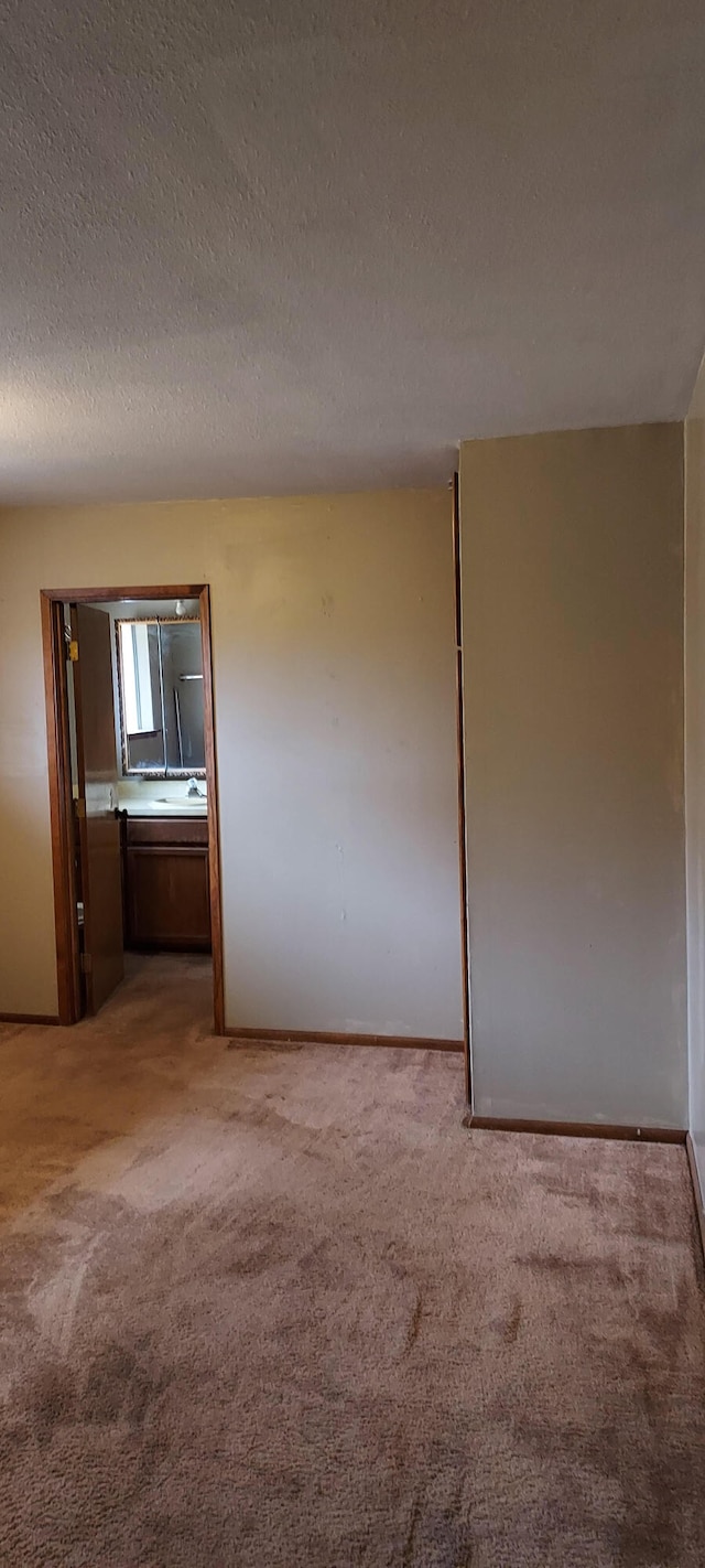 empty room with carpet flooring and a textured ceiling