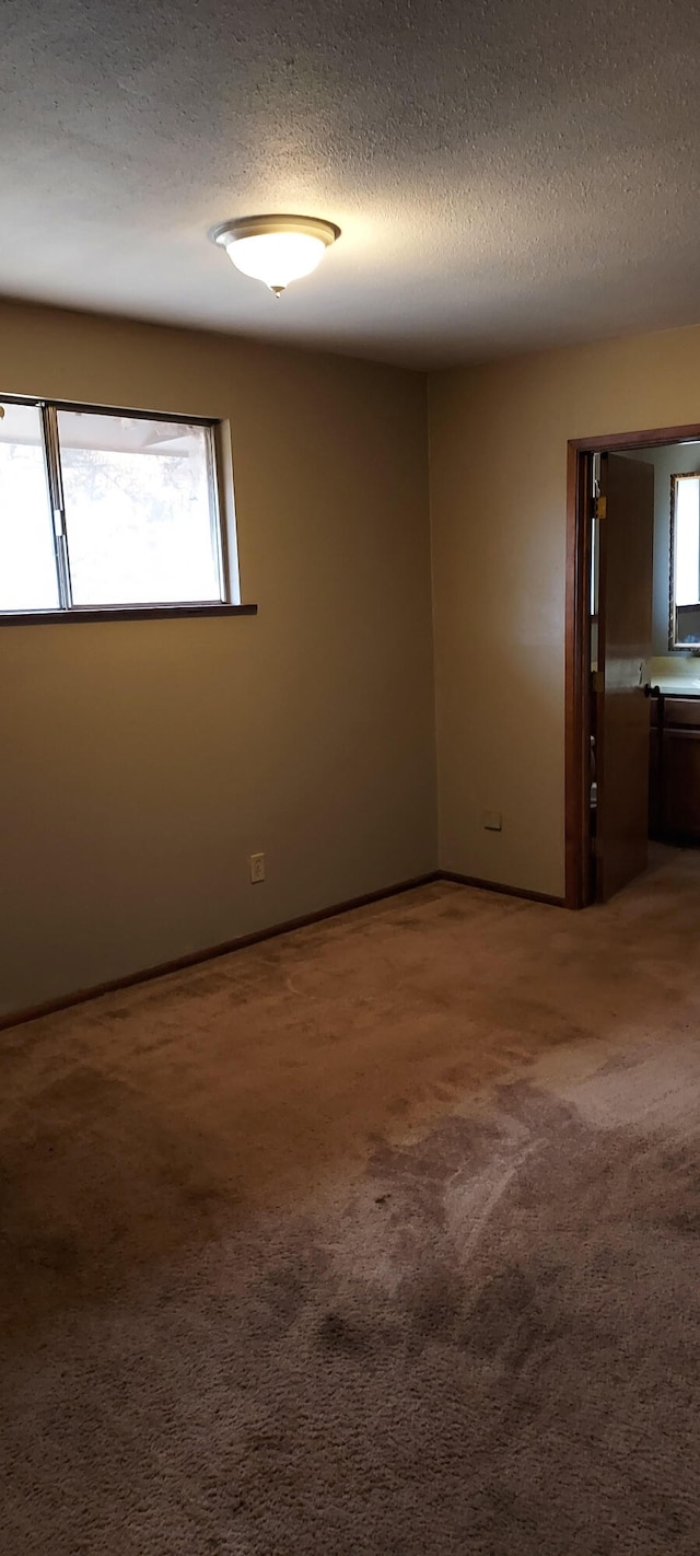 spare room featuring carpet and a textured ceiling