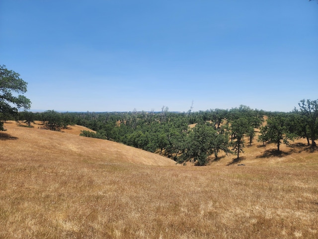 0 Colyer Springs Rd, Red Bluff, CA 96080 - photo 2