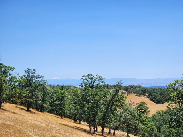 0 Colyer Springs Rd, Red Bluff, CA 96080 - photo 6