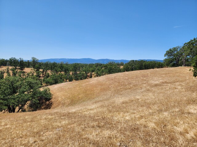 0 Colyer Springs Rd, Red Bluff, CA 96080 - photo 7