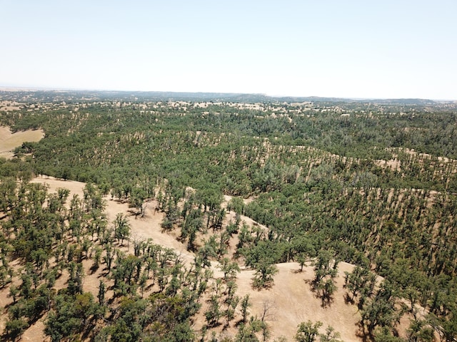 0 Colyer Springs Rd, Red Bluff, CA 96080 - photo 15