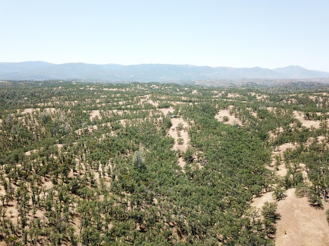 0 Colyer Springs Rd, Red Bluff, CA 96080 - photo 24