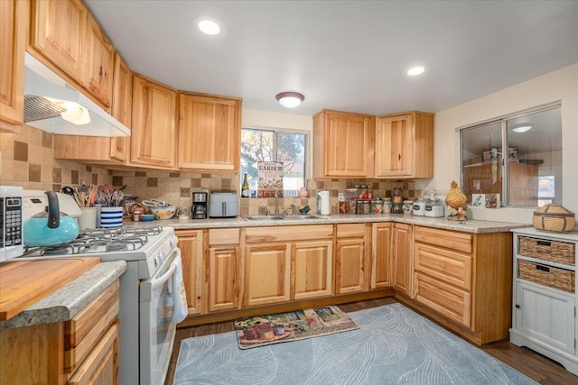 kitchen featuring backsplash, white gas stove, sink, and dark hardwood / wood-style floors