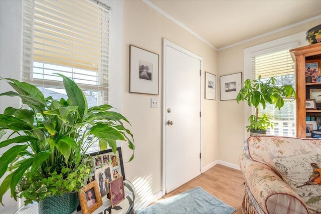 interior space featuring light hardwood / wood-style floors, a wealth of natural light, and ornamental molding