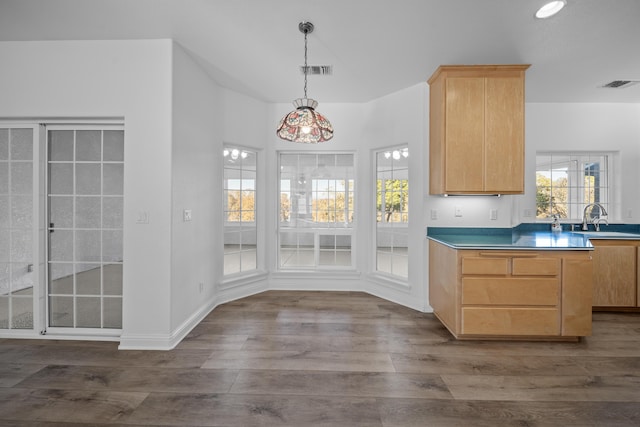 kitchen with light brown cabinets, dark wood-type flooring, and sink