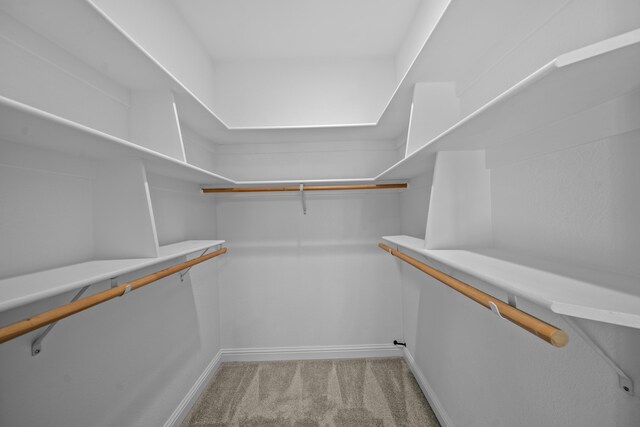 spacious closet with carpet