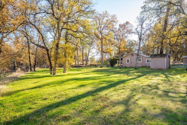 view of yard featuring a storage shed