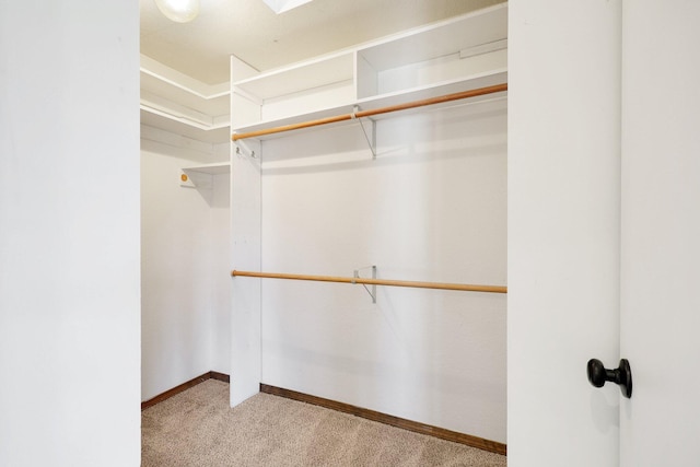 spacious closet featuring light carpet