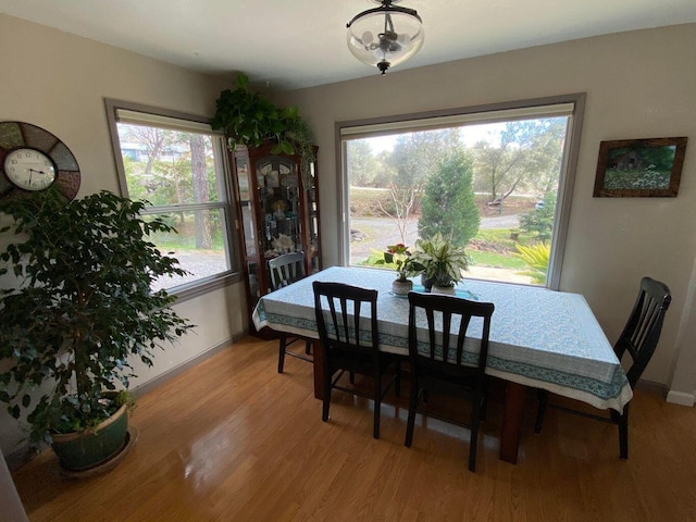 dining area featuring light hardwood / wood-style floors