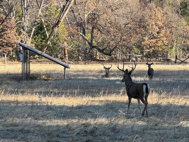40759 Old School Rd, Fall River Mills, CA 96028 - photo 45