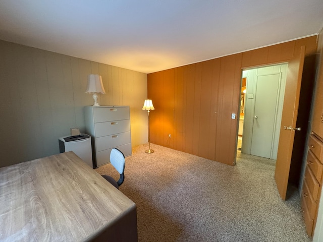40759 Old School Rd, Fall River Mills, CA 96028 - photo 24