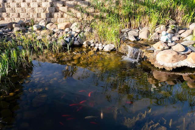 bird's eye view featuring a garden pond