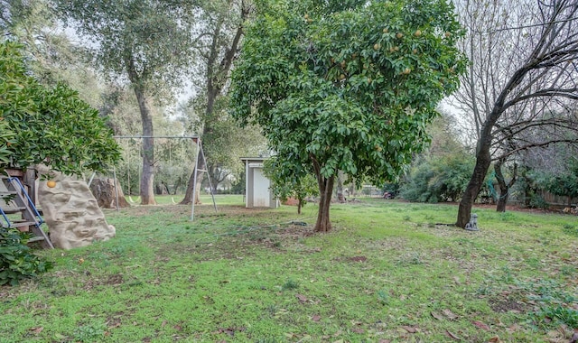 view of yard with a storage shed