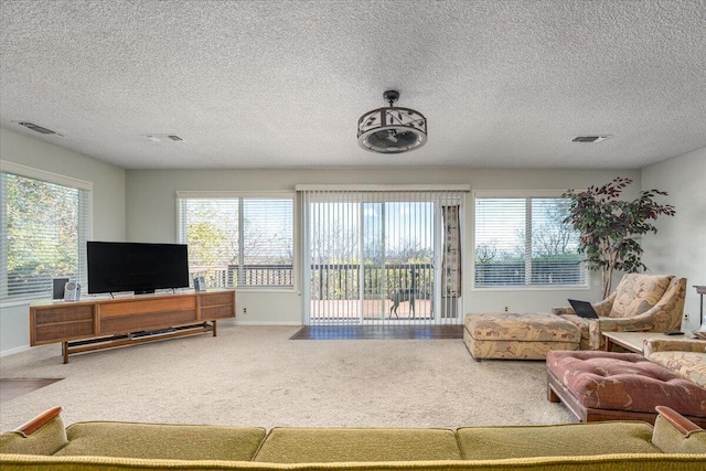 living room with carpet and a textured ceiling