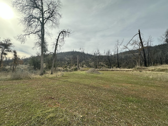 20904 Dorothy Ln, Redding CA, 96003 land for sale