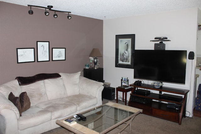 living room featuring a textured ceiling and carpet floors