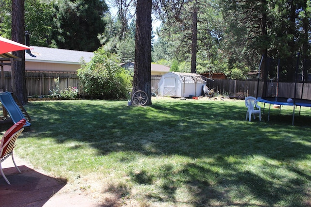 view of yard featuring a trampoline and a storage unit