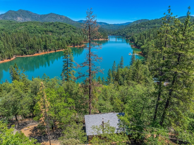 birds eye view of property featuring a water and mountain view