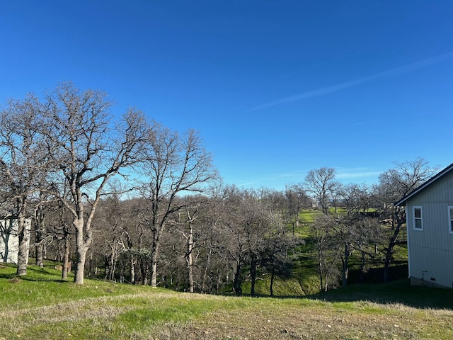 21852 Chimney Rock Dr, Cottonwood, CA 96022 - photo 3