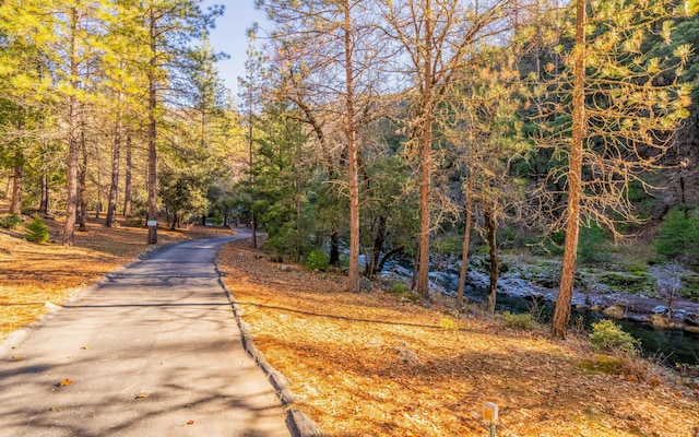 view of road featuring a water view