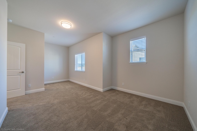 spare room with carpet floors and a healthy amount of sunlight