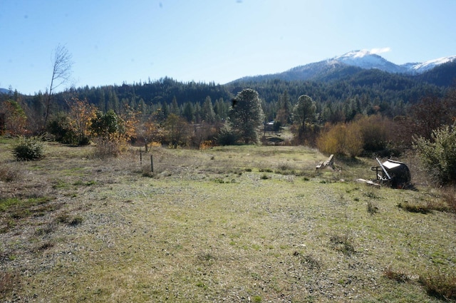 50 Acorn Ln, Junction City, CA 96048 - photo 9