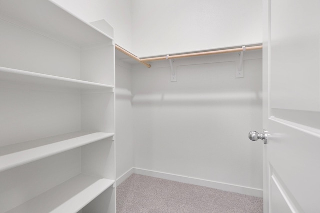 walk in closet with carpet floors