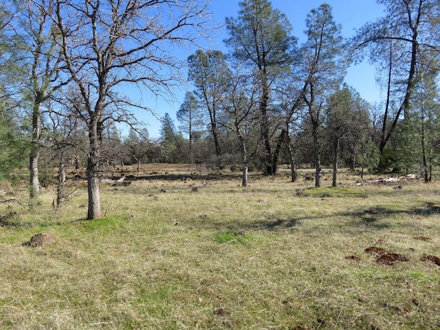 42ACRES Ash Creek Rd, Anderson CA, 96007 land for sale